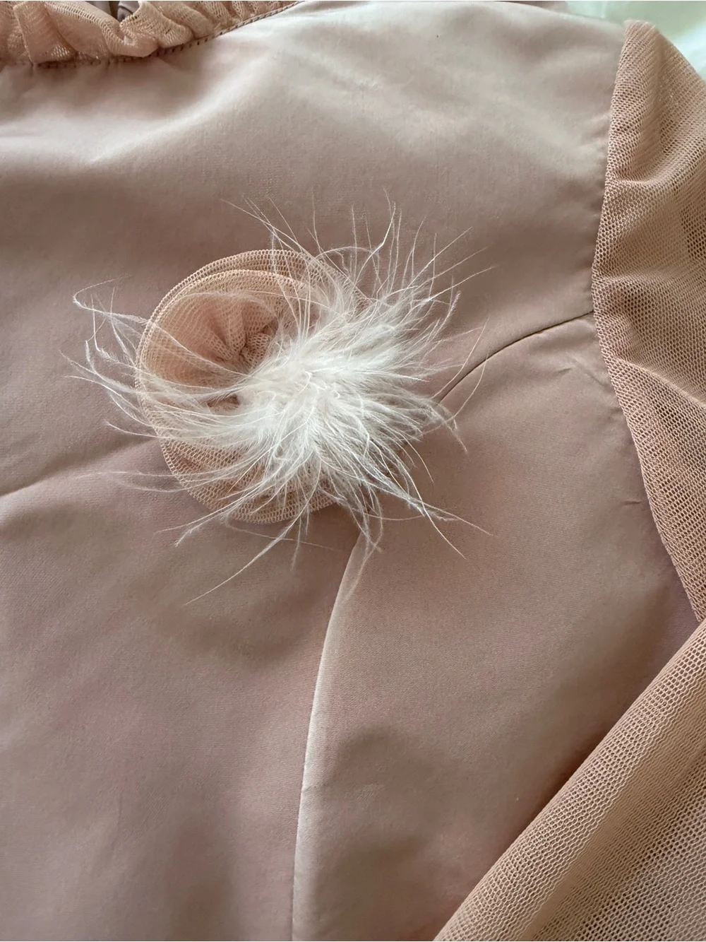 Girls' Dusty Pink Tulle Party Dress with Feather Accents
